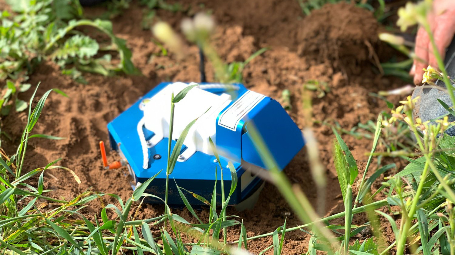 Fleet Exosphere Geode planted in the ground